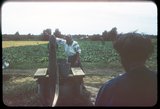 slide-26
